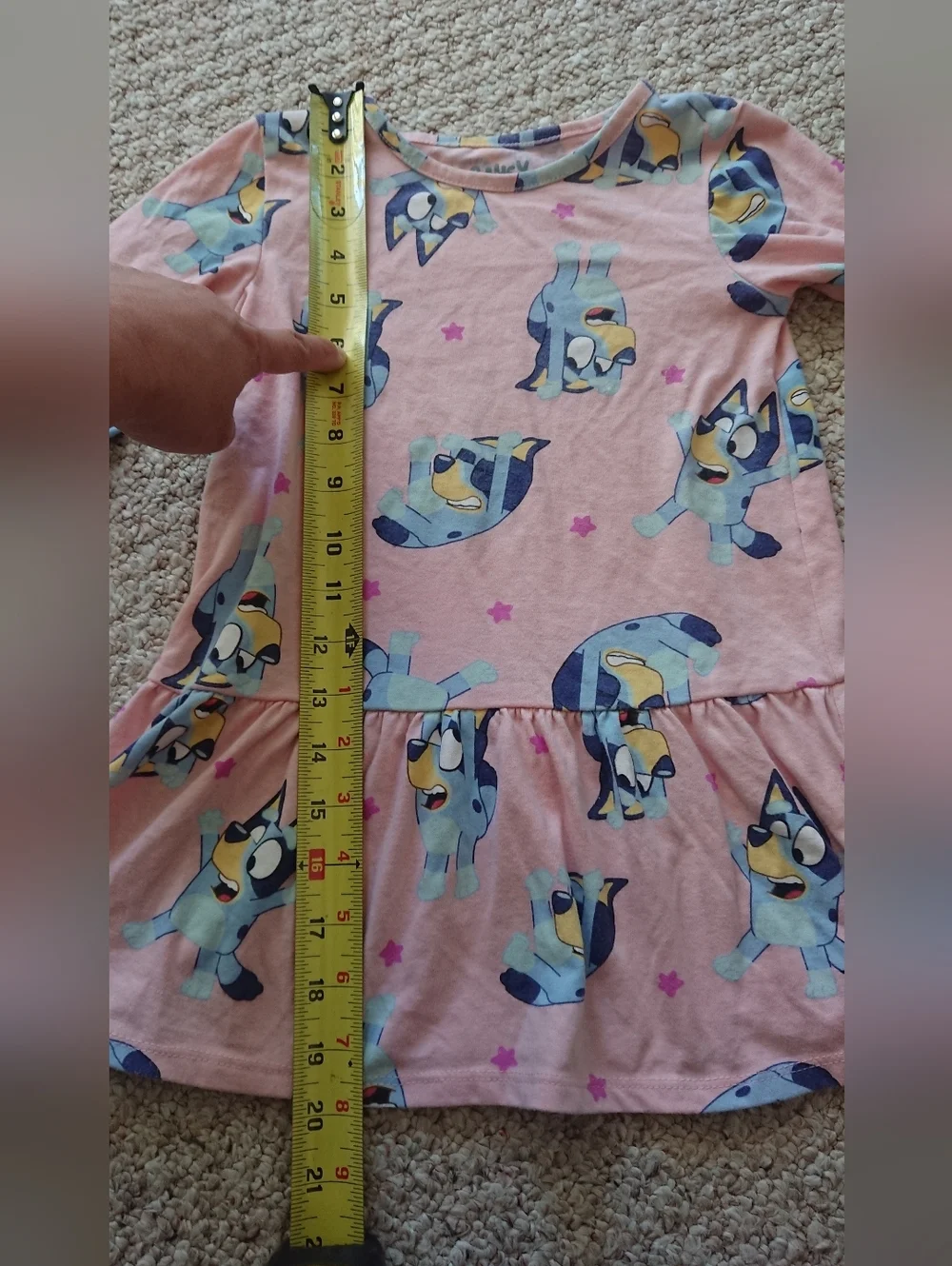 Bluey Toddler Girl Print Drop Waist Dress with Long Sleeves Size 3T